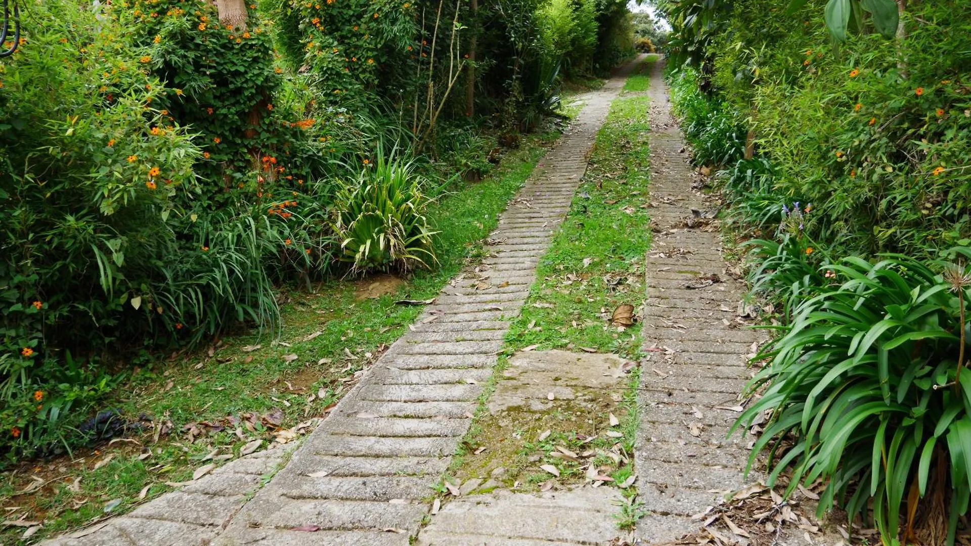 Amplia Casa Campestre En Santa Elena Cerca A Medellin - Cabana Aru