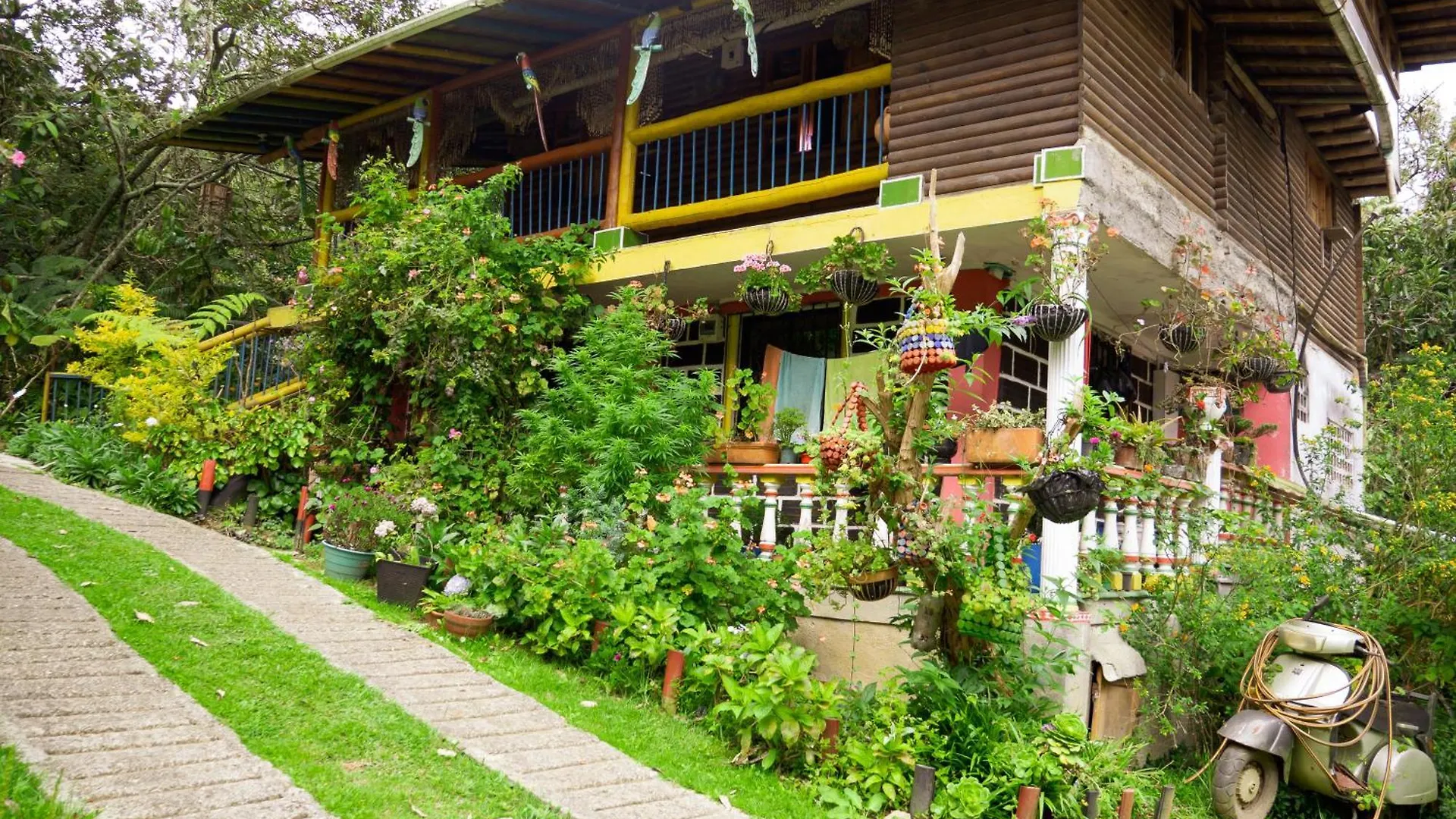 Daire Amplia Casa Campestre En Santa Elena Cerca A Medellin - Cabana Aru