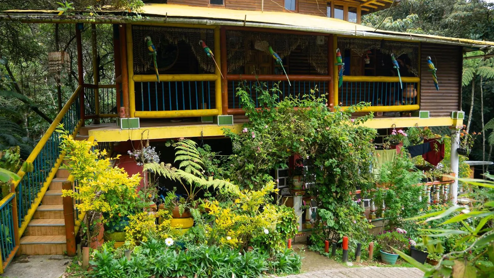 Daire Amplia Casa Campestre En Santa Elena Cerca A Medellin - Cabana Aru Kolombiya
